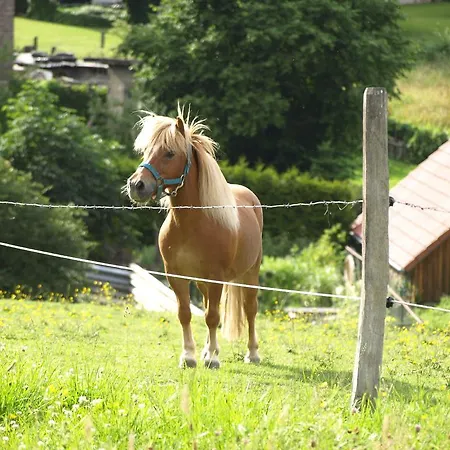 Διαμέρισμα Ferienwohnung Sauerland 4