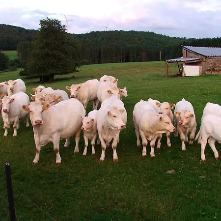 Ferienwohnung Sauerland 4 Διαμέρισμα